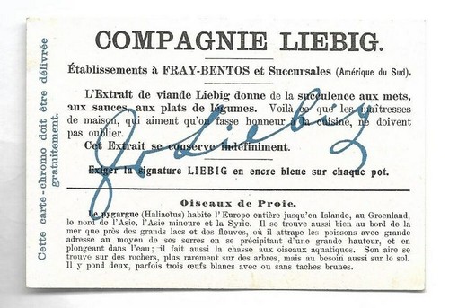 Pygargue - - Oiseaux de proie - Chromo Liebig - Trade card - Imagen 2 de 2