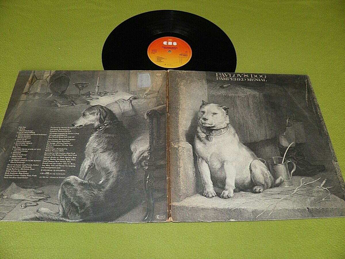 Pavlov's Dog - Pampered Menial - RARE 1976 IMPORT LP EX / Great  Art-Prog-Rock
