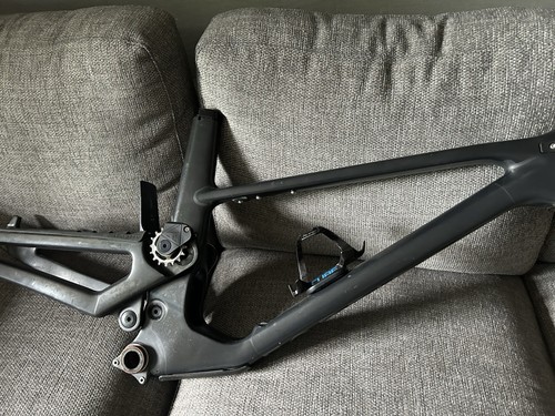 Forbidden Druid Large Frame 2021