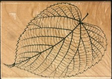 Hero Arts Botanical Delicate Leaf Detail Rubber Stamp