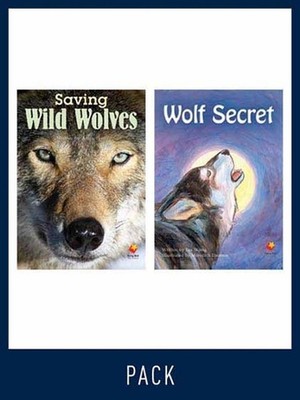 Flying Start Guided Reading Level 26, Pack 2: Paired student books (6x6) and les