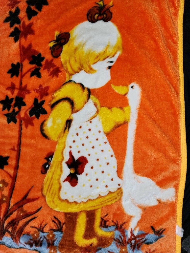Picture 11 of 16