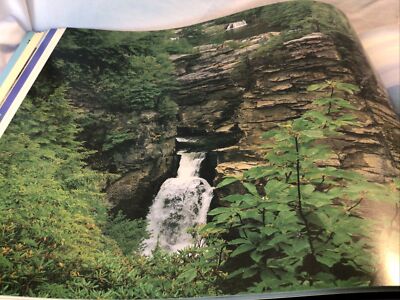 North Carolina by Ann McCarthy | eBay