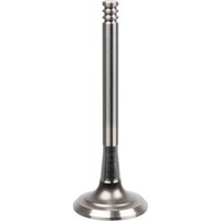 Febi Bilstein 21042 Auslassventil FüR Audi A6 C4 80 B4 A4 B5 B3 A8 D2 89 8B3