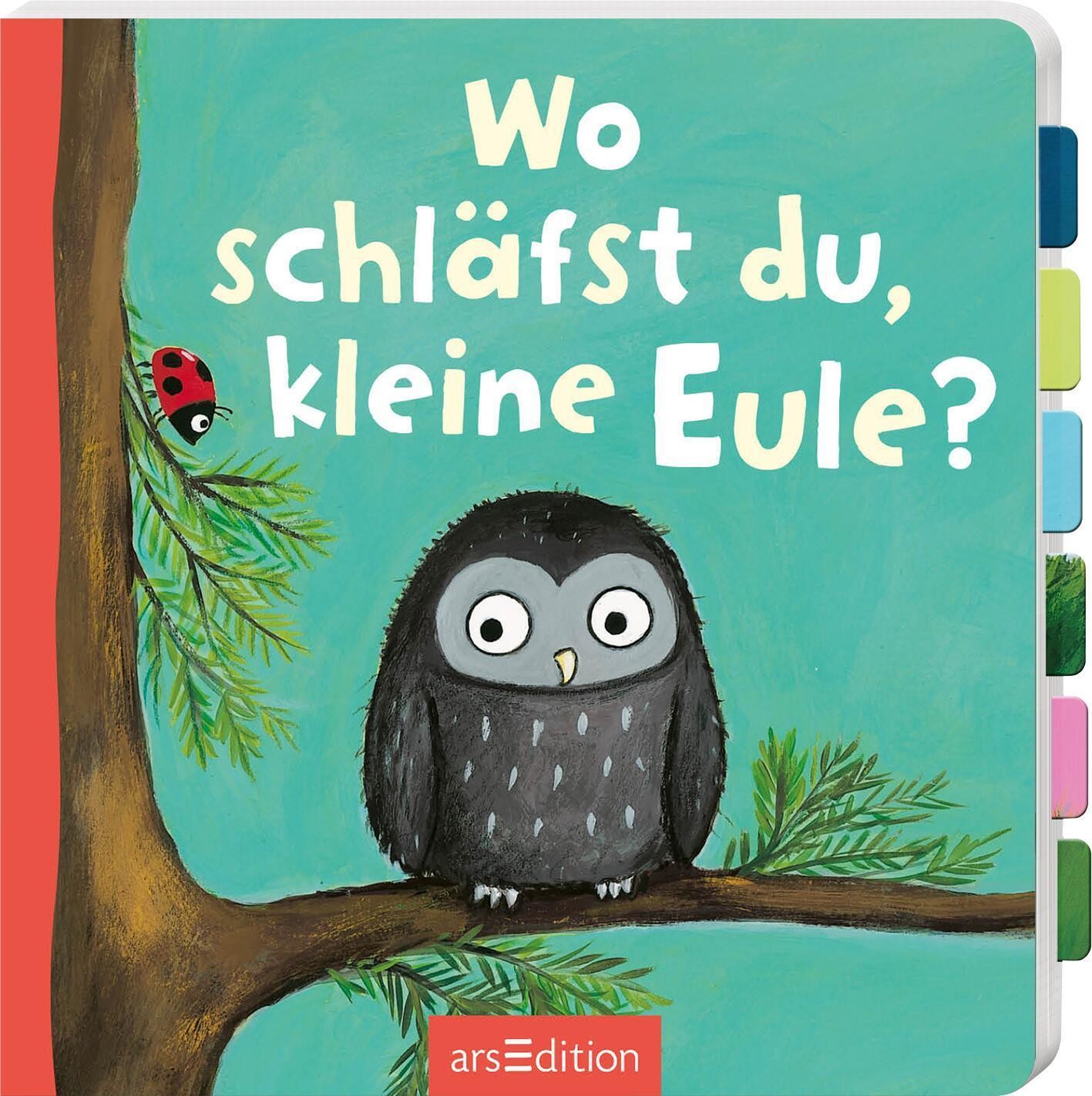 Wo schläfst du, kleine Eule?: Erstes Entdeckerbuch mit stabilen Klappen für Kinder ab 18 Monaten (Erste Klappenbücher) - Bild 3