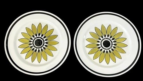 Set of 2 Mikasa Mediterrania Flower Dinner Plates 4065 Vintage Capri