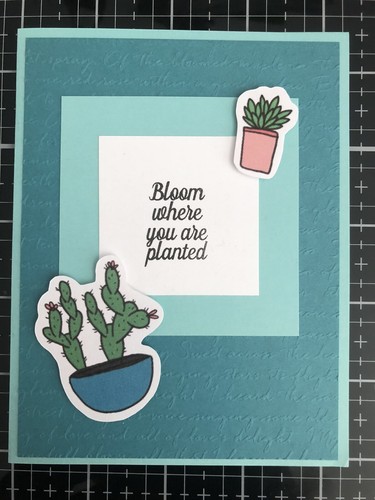 Card Set Of 4 Completed Handmade Hand-Drawn Succulents Cactus Any Occasion - Picture 5 of 6