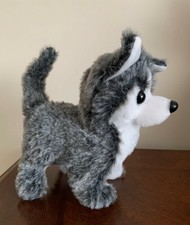 soggy doggy walking toy