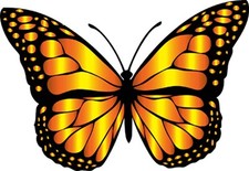 Monarch Butterfly Stickers TEN 4" x 4" square individual stickers READ DESCRIPT