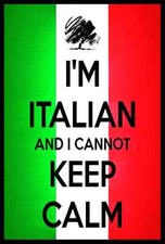 ITALIAN KEEP CALM  METAL SIGN 8X12   ITALY FLAG GIFT PRIDE HUMOR DECOR MAMA MIA