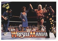 Dusty Rhodes / Sapphire / Miss Elizabeth 1990 WWF History of Wrestlemania #122