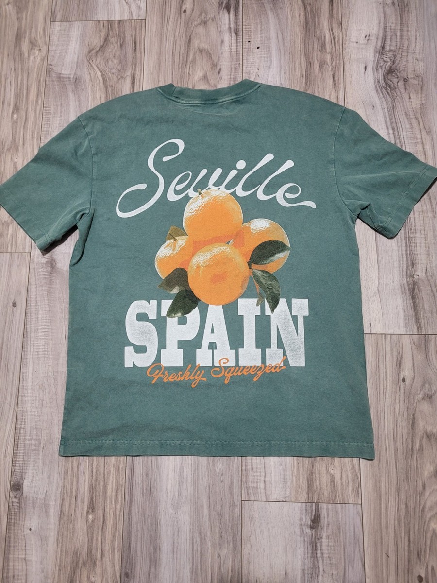Hollister Boxy Heavyweight Seville Orange Spain Graphic Tee | eBay