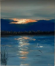art 540 original painting 60x50 сm oil on canvas TI  sunset water bird modern