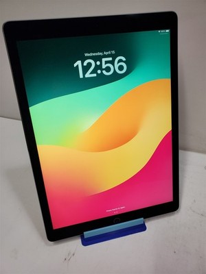 Apple iPad Pro 12.9'' 2nd Gen A1670 64GB Space Gray WiFi Only iPadOS 17 NO CHRGR