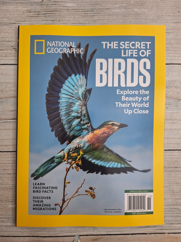 National Geographic June 2025 Magazine the secret of life of birds free shipping