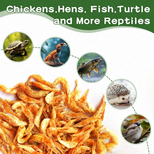 11lb High Protein Freeze Red Dried River Shrimp All Natural Treat for Chicken - Picture 2 of 9