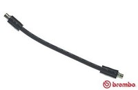 Brembo Bremsschlauch T 85 134 FüR VW Passat B5 3B3 Variant 3B6 3B2 3B5 B3 B4 3A5