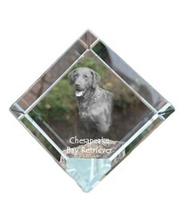 Chesapeake Bay Retriever - Cube With Picture, Horse Picture IN Crystal, Sech