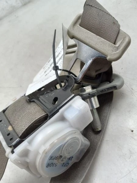 Toyota Prius V 2016 lado del pasajero conjunto de cinturón de seguridad trasero Foto 4 de 4