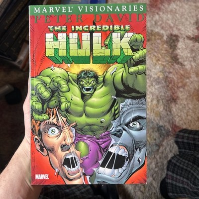 Hulk Visionaries: Peter David #5 (Marvel Comics 2008)