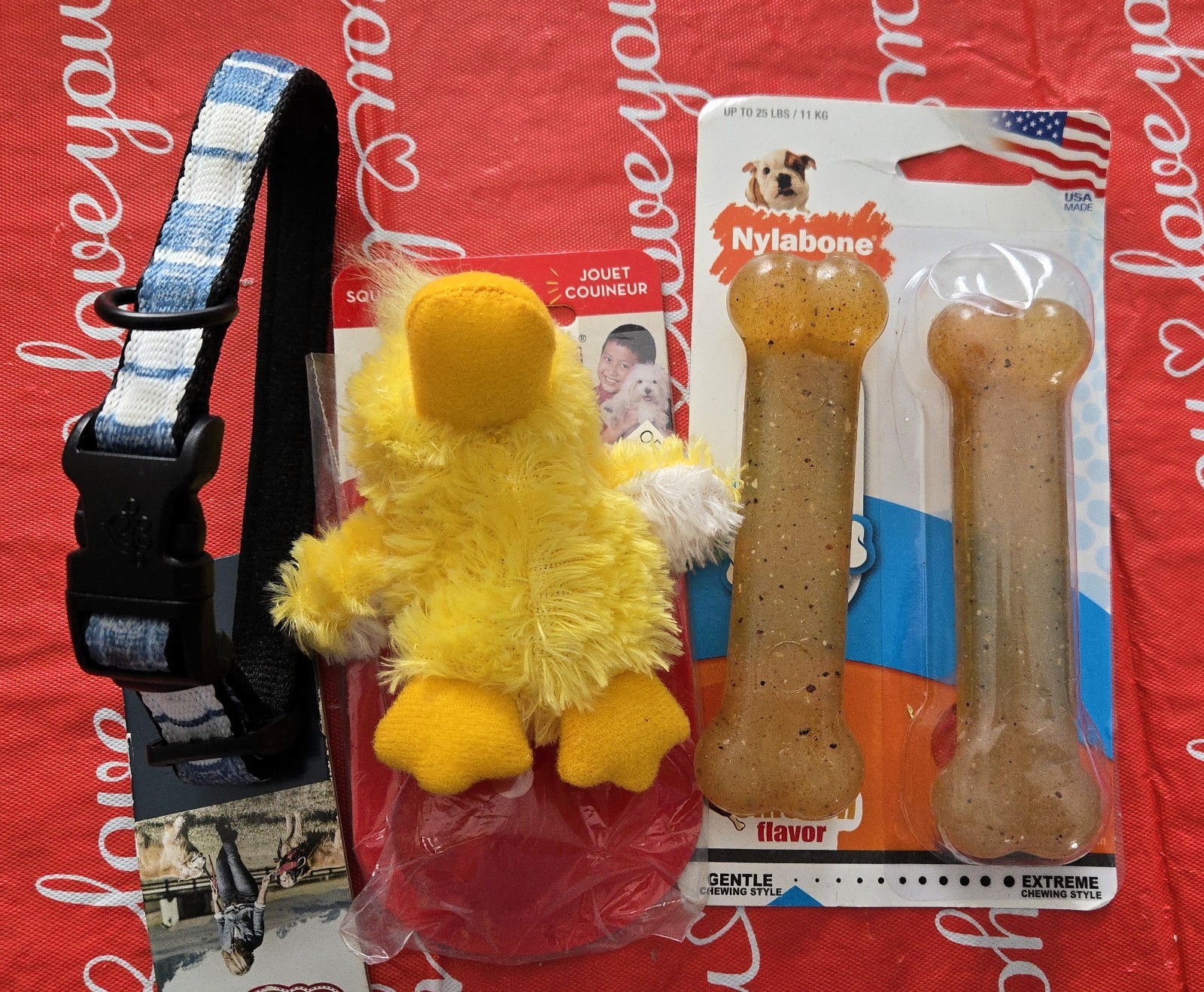 Puppy Toys, Chews, Collar:  Kong Toy, Nylabones, etc.