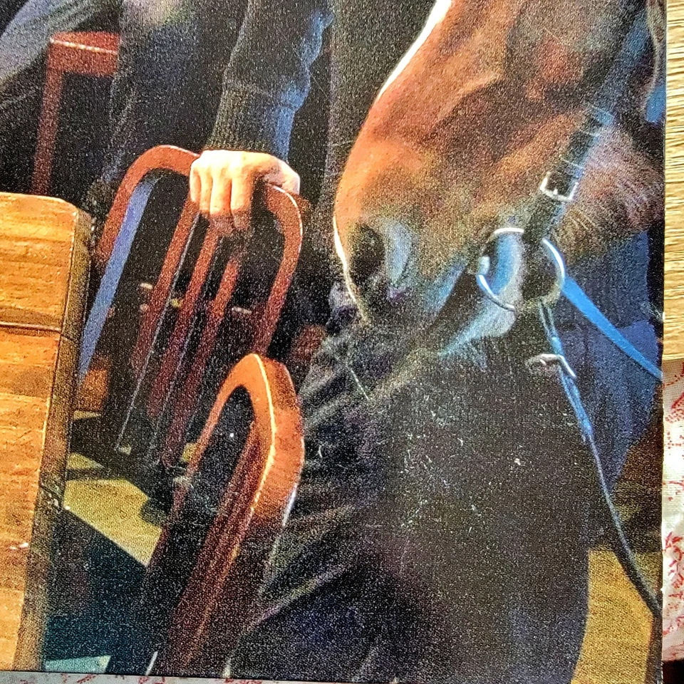 Flogging Molly Vinyl Record 'Float' (2007) Celtic Irish Punk, Side One Dummy - Image 3 of 4