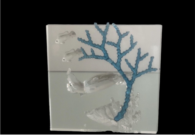 Swarovski Crystal 8" Wonders of the Sea Turtle
