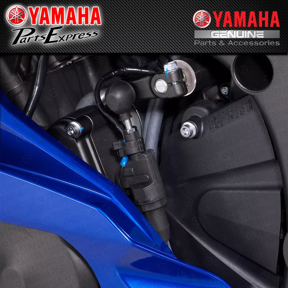Quick shifter r6 online