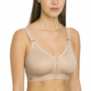 3c reggiseno