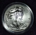 2020 W AMERICAN EAGLE ONE OUNCE SILVER UNCIRCULATED COIN. 20EG