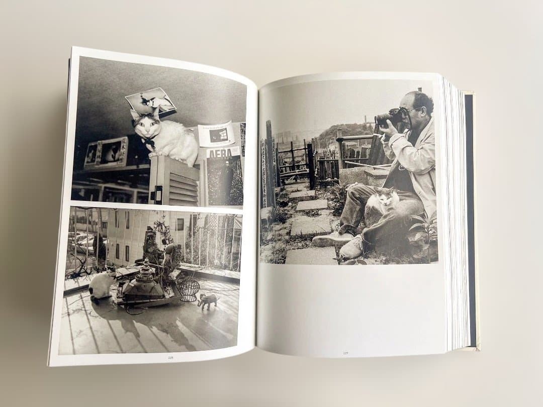 Nobuyoshi Araki: Self, Life, Death Phaidon 2005 Art Photograph | eBay