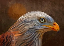 Bald Eagle – Hand-Drawn Wildlife Art in Oil Pastel by Henri | Fine Detail & Text