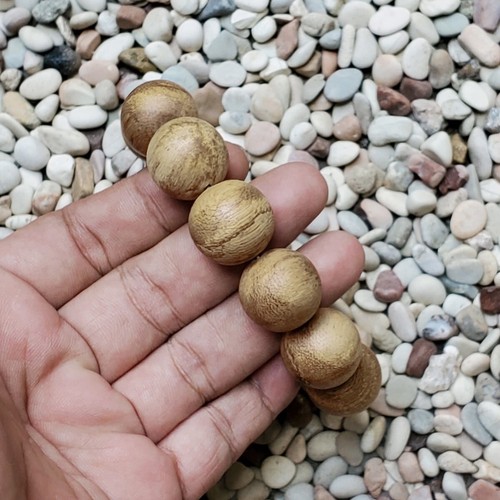 Bonita pulsera de madera de agar Papúa Aquilaria de 20 mm 12 gramos madera de aloe 12 cuentas #54 - Imagen 5 de 5