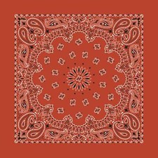 New 22" Terra Cotta Paisley Bandana Handkerchief Scarf 100 Cotton Made In USA