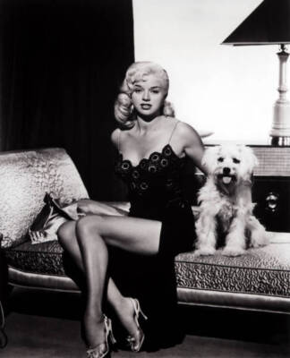 Diana Dors in I Married a Woman 1958 Old Photo