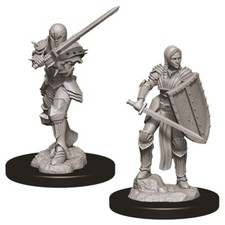Dungeons  Dragon D D Nolzur's Marvelous Miniatures Female Elf Fighter WZK73705