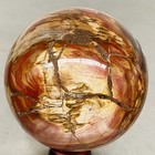 Natural Petrified Wood Polished Stone Quartz Crystal Sphere Ball Healing 1200G — photo 5