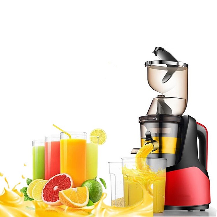 Extracteur de jus de fruits et légumes 250W avec brosse de nettoyage