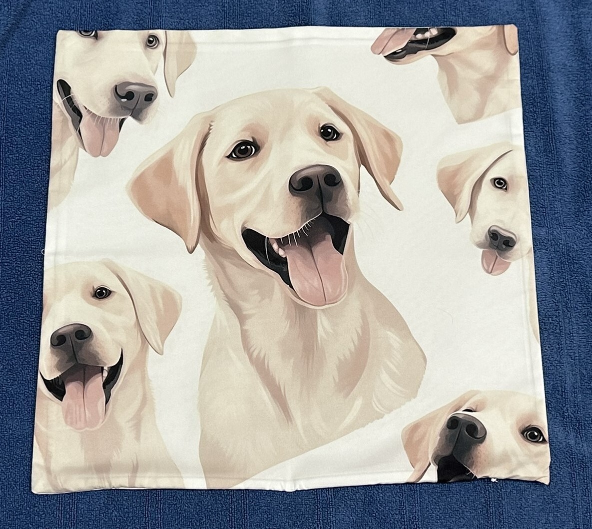 Throw Pillow Cover Shell Labrador Retriever (NO PILLOW INSERT - SHELL ONLY) Dog-image