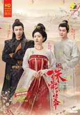 The Story Of Pearl Girl 珠帘玉幕 Complete Series DVD (Chinese Drama) (English Sub)
