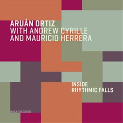 ARUÁN ORTIZ/ANDREW CYRILLE/MAURICIO HERRERA INSIDE RHYTHMIC FALLS / NEW Audio CD