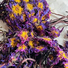 Blue Lotus Whole Flowers With Stem Egyptian Nymphaea Caerulea Herbal Organic Tea
