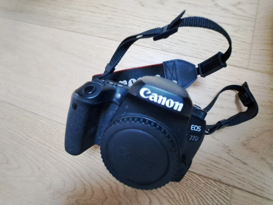 Canon EOS 77D  + Objectif Canon EFS 18-55mm + Canon 50mm + Sigma 70-300mm, photo 2 sur 5