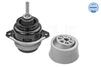 Meyle Motorlager 100 199 0185 FüR VW Touareg 7LA 7L6 7L7 TDI FSI Audi Q7 4LB Van