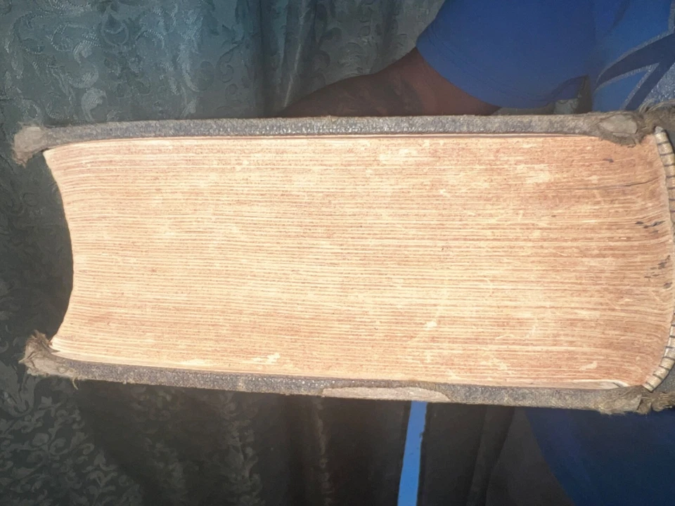 1880 Dictionary of the Bible Foto 3 de 4