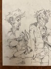Foto 5 di 12