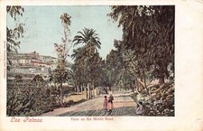 L176 Spain 1908 Las Palmas View on the Monte Road vintage postcard