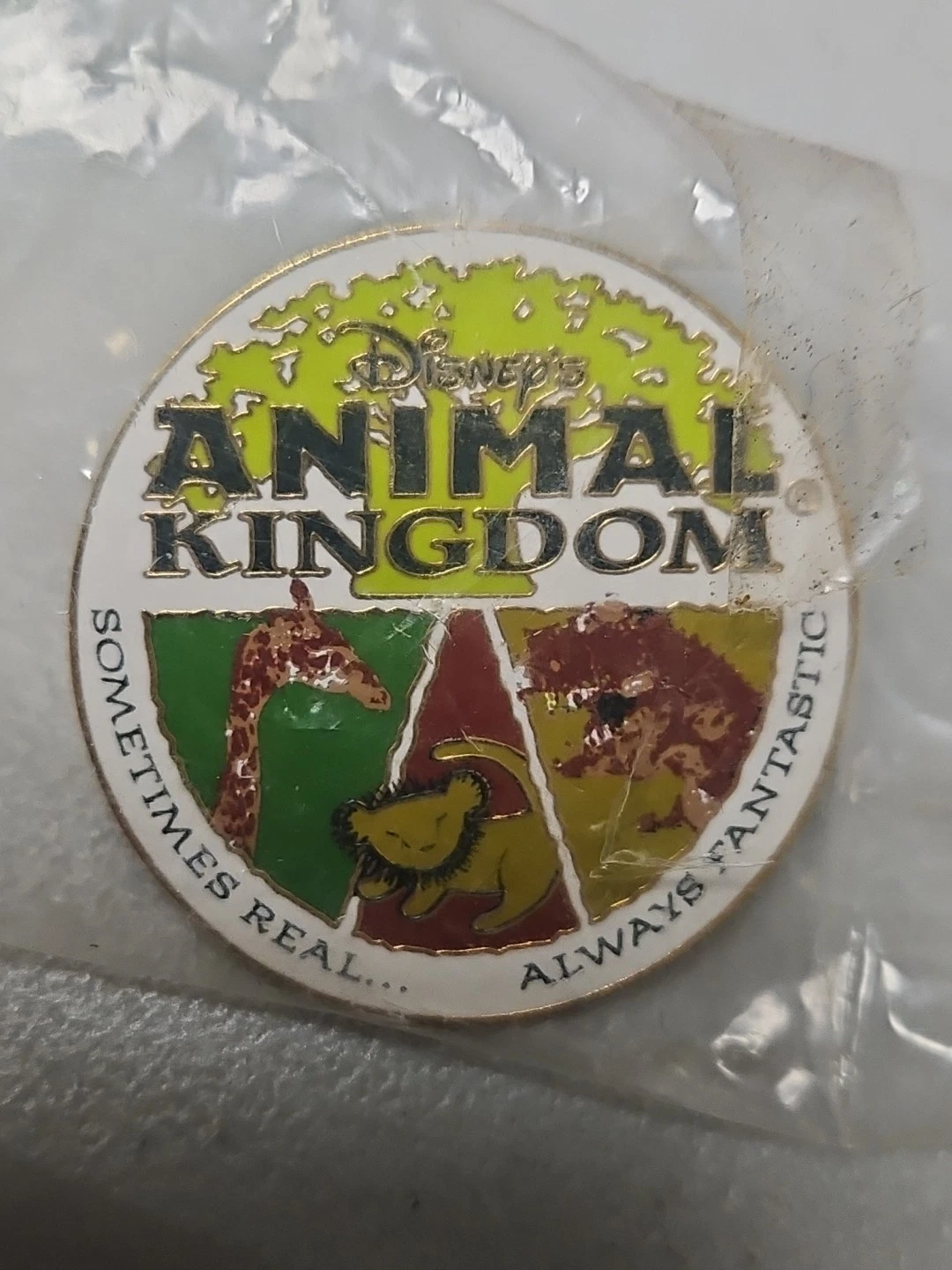 Vtg Disney Pin WDW Animal Kingdom Safari Dinosaur DinoLand Sometimes Real NOS