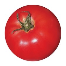 Tomato Mousepad