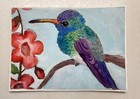 ACEO Original Hummingbird Birds Garden Nature Wildlife ACT 3.5x2.5 inches rmj096 — photo 3